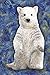 Produktbild Polar Bear: Notebook Blank College-Ruled Lined in Van Gogh Starry Night Art Style (Student Animal Journals for Writing Journaling & Note-taking, Band 42)