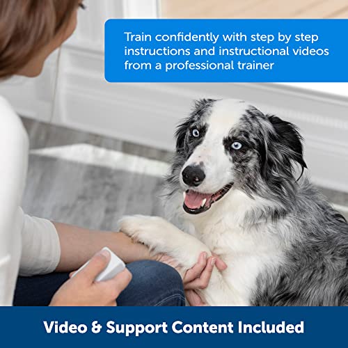 Petsafe Teach And Treat Remote Reward Trainer - Remote Treat Dispenser For Dogs - Portable Training Tool, For Puppies & Adult Dogs, Reward Based Training, Stop Bad Behavior With Positive Reinforcement #TOP5