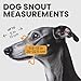 BRONZEDOG Drahtkorb Hund Maulkorb Metall Hund Maulkorb Leder verstellbar (Size 8: Greyhound & Collie)
