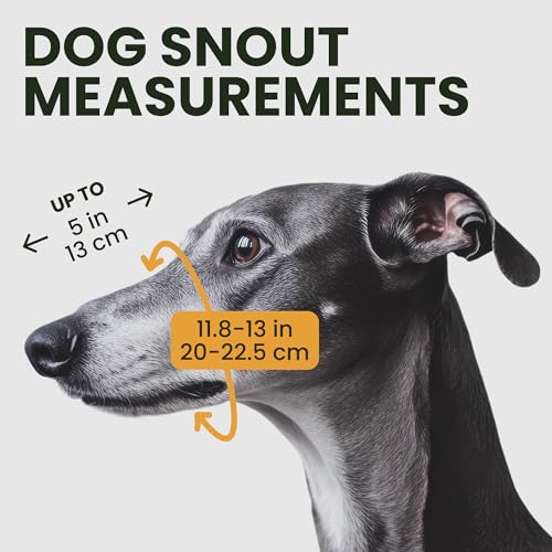 BRONZEDOG Drahtkorb Hund Maulkorb Metall Hund Maulkorb Leder verstellbar (Size 8: Greyhound & Collie)