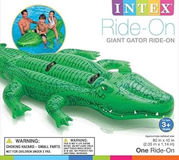 Amazon.co.jp: INTEX(インテックス) 浮き輪 ジャイアント