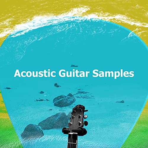 Best Acoustic Guitar Samples Expert Review The Modern Record