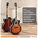 Fesley Jumbo Cutaway Acoustic Guitar: 42
