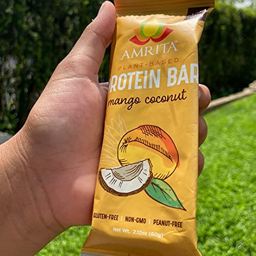 Amrita Mango Coconut (12 Bars) + Chocolate Chip Coconut (12 Bars) Protein Bar Bundle | Peanut Free, Soy Free, Gluten Free, Dairy Free, Vegan, Paleo, Non-Gmo | High Fiber Plant Based Healthy Snacks #TOP6
