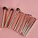 BH Cosmetics Metal Rose 11 Piece Brush Set With Cosmetic Bag