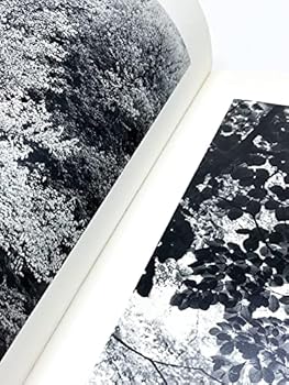 Hardcover Garden and the Wilderness Book