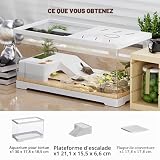 KAKOOTI aquarium jeune tortue avec plateforme 30 x 18 cm photo 2