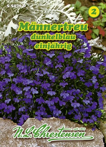 Männertreu dunkelblau
