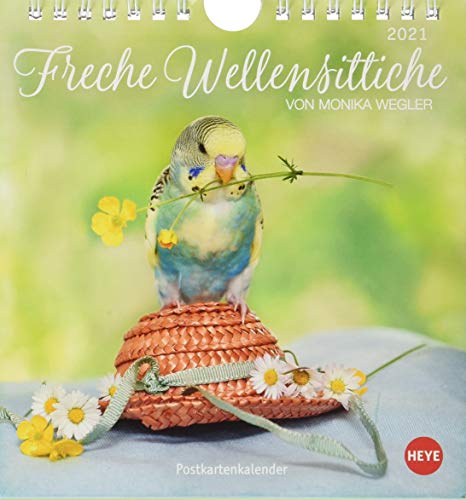 Freche Wellensittiche Postkartenkalender 2021 von Monika Wegler - Kalender mit perforierten Postkart Freche Wellensittiche Postkartenkalender 2021 von Monika Wegler - Kalender mit perforierten Postkart