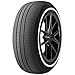 Forceum Ecosa All Season 195/65R15 91H Passenger Tire