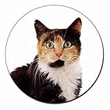 Abmessungen: 95mm x 95mm Schildpatt-Katze KÃ¼hlschrankmagnet TierstrumpffÃ¼llerGeschenk