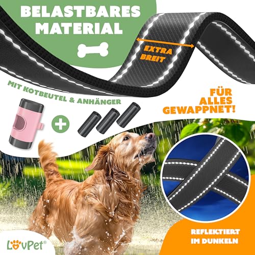 LOVPET® Hunde Rollleine 5m | Hundeleine für kleine & große Hunde 50kg | Ausziehbare Leine ergonomischer & Rutschfester Griff | Joggingleine 360° Leinenverlängerung | Laufleine Reflektierenden Maschen