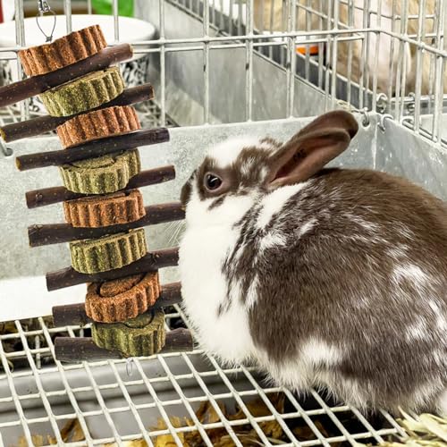 Image of Rabbit Chew Toy,Bunny Chew Toys for Teeth Grinding,Natural Apple Branch Teething Sticks with Hay Grass Cake Improve Dental Health Bunny Hanging Chew Toys for Rabbits,Chinchillas,Hamster (4 Pcs)