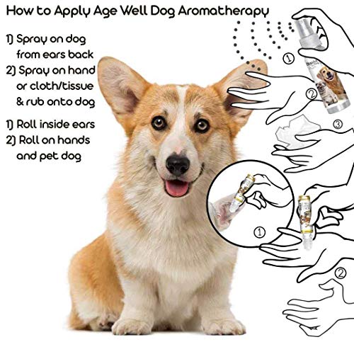 Image of The Blissful Dog Corgi Age Well Dog Aromatherapy Spray