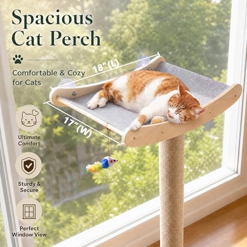 Image of Window Cat Perch with Scratching Posts, 46 inch Wood Tree Bed for Maine Coon Big Cats Perching and Lounging, Mounted with 3 Strong Suction Cups (Wood Platform)