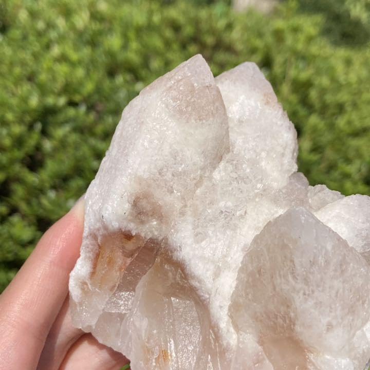 Amazon.co.jp: ドリームシクルレムリアンシード クラスター 原石