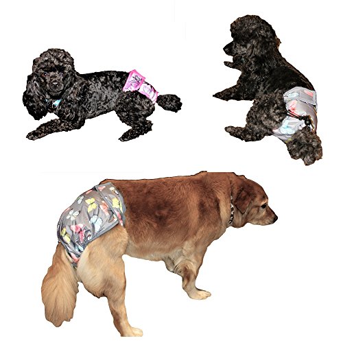 Image of Leak Proof Waterproof Cat Dog Diapers Female Washable Reusable Absorbent Pad Padding Lined for Small Medium Large Pets (L: Waist 18 inch - 22 inch, Pack of 2pcs Black)