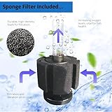 AIROX Fish Tank Filter and Aquarium Air Pump Set – Complete Sponge Filter Kit for Small Fish Tanks – Aquarium Air Pump with Airline Tubing and Internal Sponge Filter All-in-One (30-100L) - Image 2