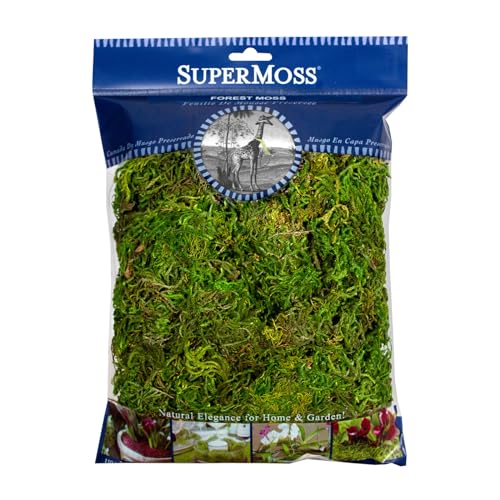 Image of SuperMoss Forest Moss Preserved Lasting Decorative Long Fibers for Potted Plants and Crafts, Fresh Green