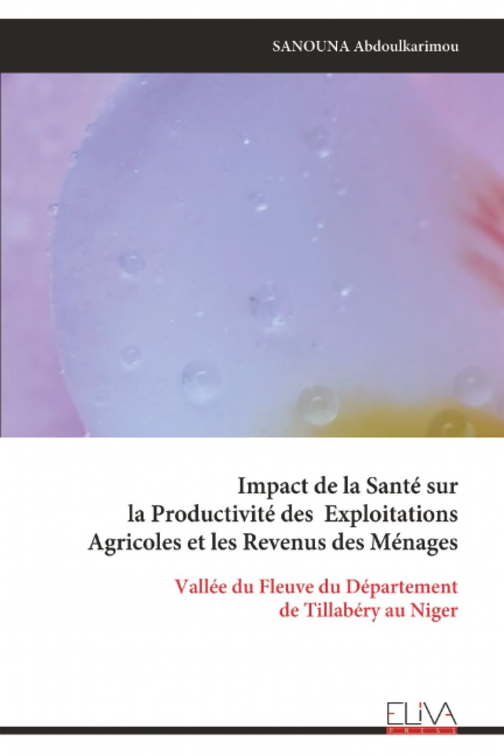 Impact de la Santé sur la Productivité des Exploitations Agricoles et les Revenus des Ménages: Vallée du Fleuve du Département de Tillabéry au Niger