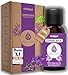 Produktbild DasXgut  Lavendelöl 30 ml  [100% Naturrein] Bio öl Zertifiziertes Lebensmittel  Ätherische Öle  für Diffusor  Duftöl  Aromatherapie  Lavandula Angustifolia Der Echte Lavendel E5004111 BG-BIO-02