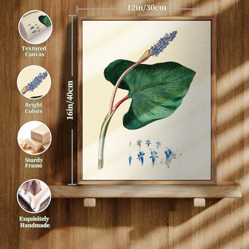 crmotu Framed Wall Art, Botanical Wall Art, Nature Canvas Prints, Leaf Minimalist Vintage Paintings, Still Life Plant Pictures for Living Room Bedroom Bathroom Kithcen Farmhouse 12x16 inch
