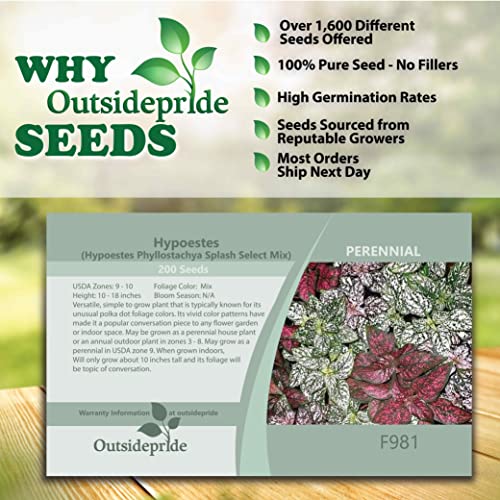 Outsidepride Hypoestes Splash Polka Dot Foliage Shade Plant Seed Mix - 200 Seeds #TOP4