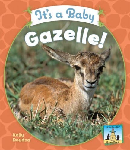 Gazelle kinderen wit Clearance