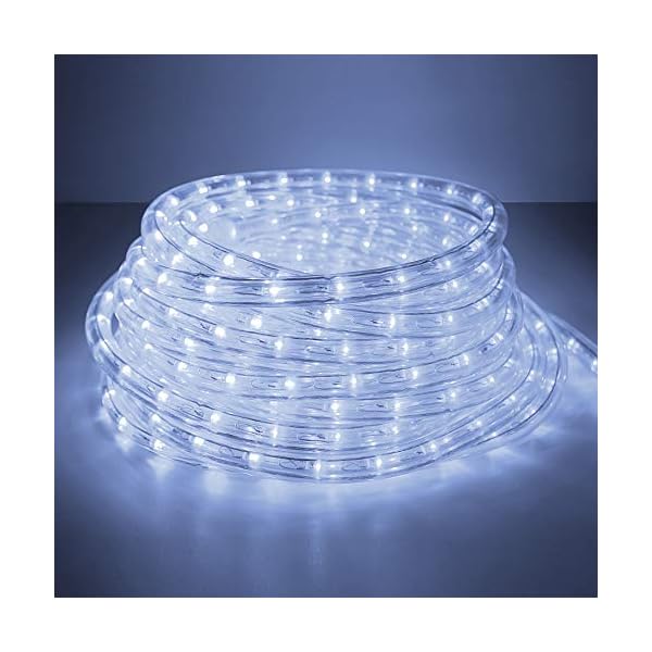 Forever Speed LED Lichterschlauch, Lichtschläuche LED für Außen IP65 Kaltweiß, Wasserfest LED Schlauch für Halloween, Garten, Weihnachten, Hochzeit,Party Beleuchtung Dekoration