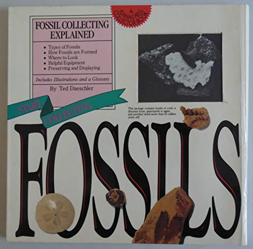 Start Collecting Fossils