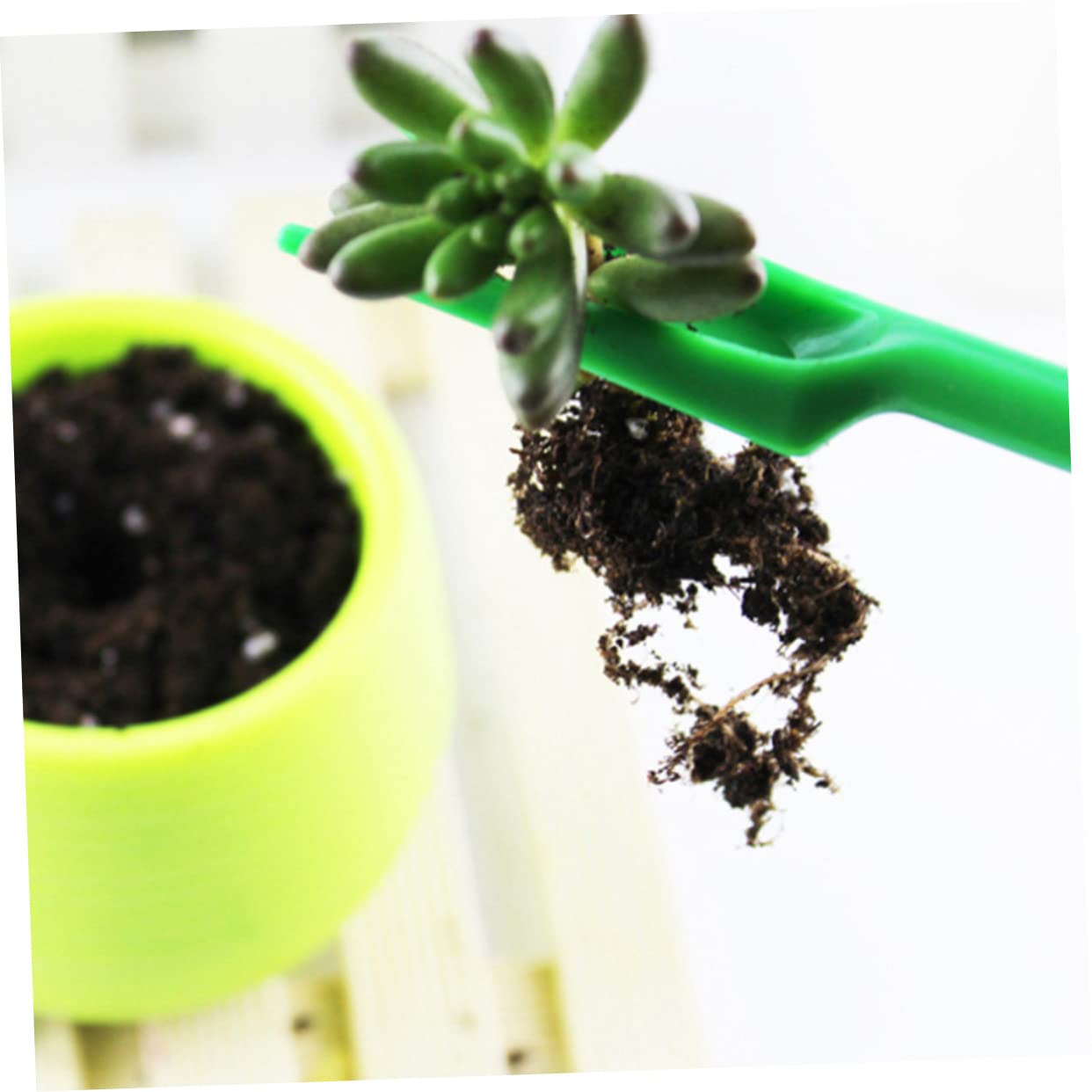 Toyvian 50 Juegos Kit de Herramientas de Jardinería de Herramientas de Trasplante Excavación y Deshierbe para Verduras y Suculentas para Cuidado de Plantas Macetas y