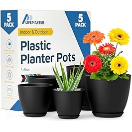Plant Pots with Multi...