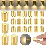 【LISTA DE PAQUETE】 Recibirás 22 miniluces LED, disponibles en cinco colores (blanco cálido dorado, blanco dorado, blanco, blanco cálido y azul). La cantidad es suficiente para satisfacer tus necesidades. Las mini luces LED son ideales para estudiantes, oficinistas y cualquier persona que busque dispositivos únicos