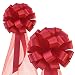 Red Wedding Pull Bows with Tulle Tails - 8" Wide, Set of 6