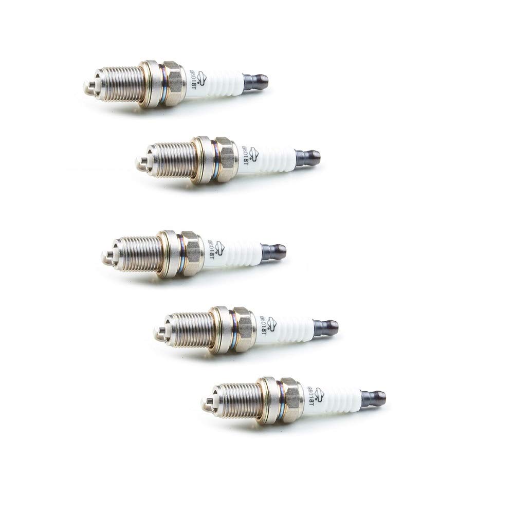 Briggs and Stratton 5PK Spark Plug Replaces 496018/189506/189506GS # 496018S-5PK