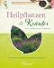 Produktbild Heilpflanzen & Kräuter: Bestimmen, Sammeln, Anwendung und Wirkung
