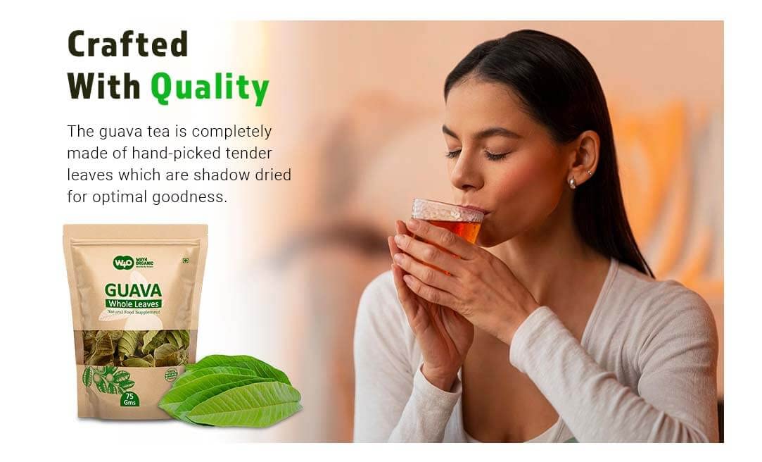 Guava Whole Dry Leaves 2.65 oz(75 grams), Loose Leaf Tea, 100% Pure Leaves - Image 4