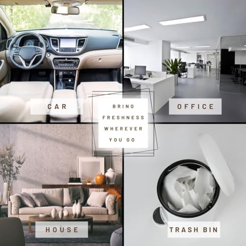 Image of Wonder Wafers 250 Count Unwrapped Automobile Professional Use Air Fresheners Car and Truck Detail (Pina Colada)