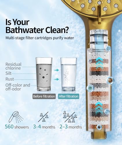 Image of SR SUN RISE Filtered Shower Head with Handheld High Pressure 9 Spray Mode Showerhead Detachable Shower Head Water Softener Filters 1 Filter Brushed Gold