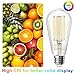TJOY 36 Pack Vintage 8W ST58 LED Edison Light Bulbs, Dimmable, 60W Equivalent, 800Lumens, 2700K Warm White, E26 Base LED Filament Bulb, CRI80+, Antique Glass Style for Home, Bedroom, Office, Farmhouse