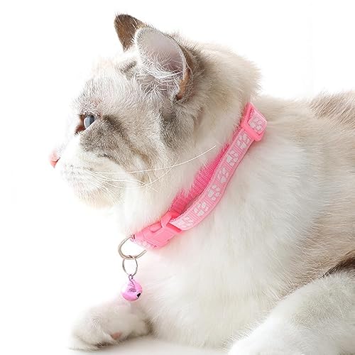 XS-Dog-Collar-with-Bell-2-Pack-Cat-Collars-Reflective-Puppy-Collar-Nylon-Soft-Adjustable-Buckle-for-XXS-XSmall-Extra-Small-Tiny-Boy-Girl-Pets-Female-Kitten-Yorkie-Teacup-Chihuahua