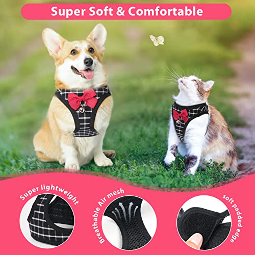 Surepet Cat Harness And Leash: Kitten Harness 5Ft Leash Adjustable Soft Mesh Breathable Cat Bowtie Harness And Leash Set For Walking Escape Proof For Small Medium Large Cat Puppia Vest Outside #TOP3