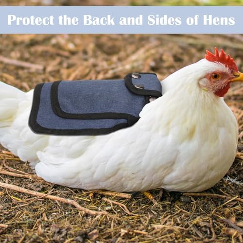 3Pcs Chicken Saddle for Hens, Chicken Saddles with Adjustable Strap, Chicken Aprons for Hens, Chicken Saddles Protector, Feather Protector for Back and Sides Poultry Accessories for Hens