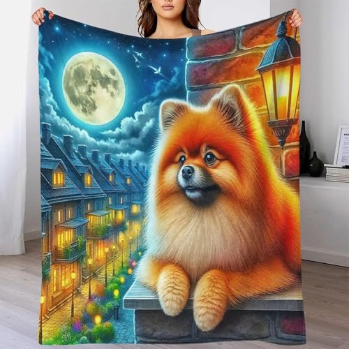Couverture en peluche Poméranie plaid chaud microfibre pour canapé