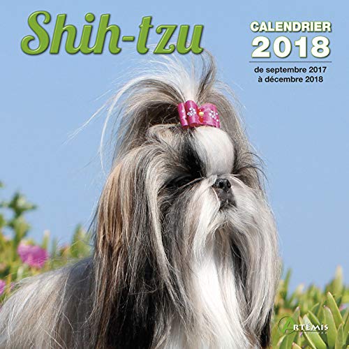 Shih-Tzu 2018
