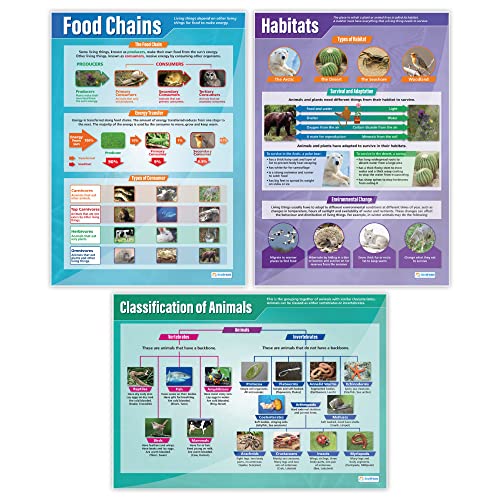 Habitats Science Classroom Posters - Set of 3 - EXTRA