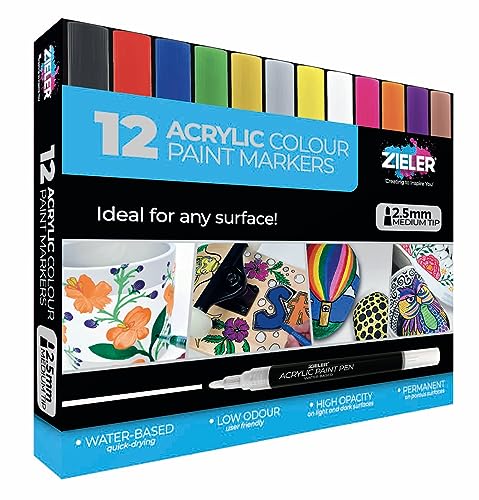 Zieler® Lot de 12 stylos de peinture acrylique pour peinture sur roche, céramique, porcelaine, verre, pierre, galets, tissu, bois et tasses à personnaliser – Couleurs vives (pointe moyenne – 2,5 mm)