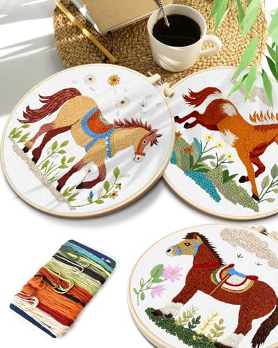 Image of TINDTOP Embroidery Kit for Adult, 3 Pack Embroidery DIY Starter Kit | with Stamped Patterns, Hoop, Tools, Colorful Threads with Needles, Instructions