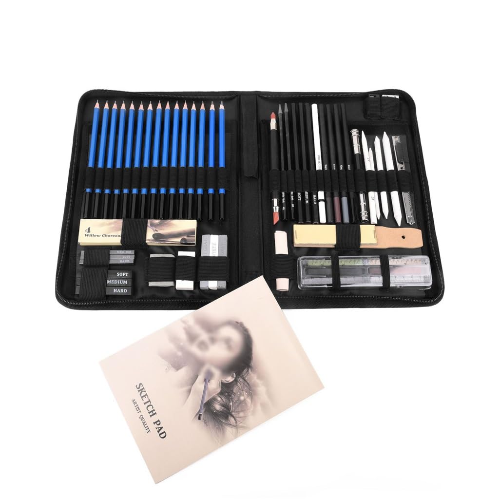 Ensemble de 60 pinceaux Professionnels pour Dessin au Fusain, Crayon à Dessin, Gomme, Crayon à Dessin