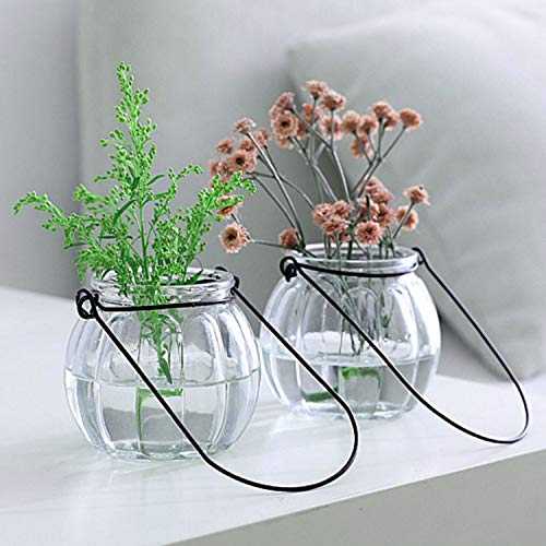 Terrarium Plants Glass Air Plant Hanging Terrarium Plants Glass Home Decor Vase Wall Hanging Glass Pots (6 Pcs Air Plant Terrarium) #TOP5